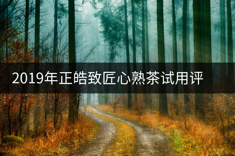 2019年正皓致匠心熟茶試用評(píng)測(cè)報(bào)告，你前所未有的高光熟茶體驗(yàn)
