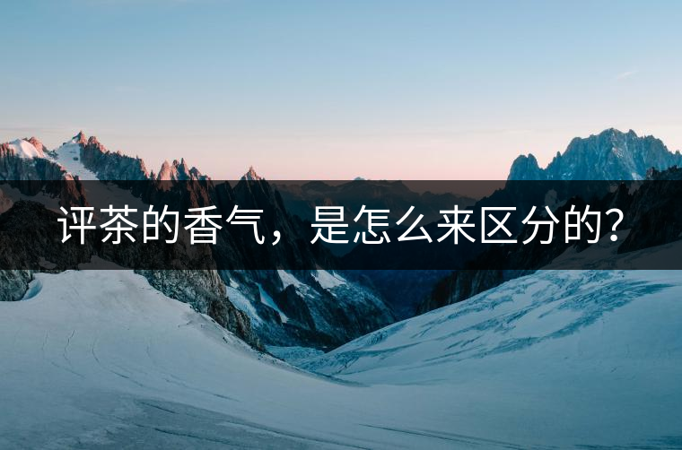 評(píng)茶的香氣，是怎么來(lái)區(qū)分的？