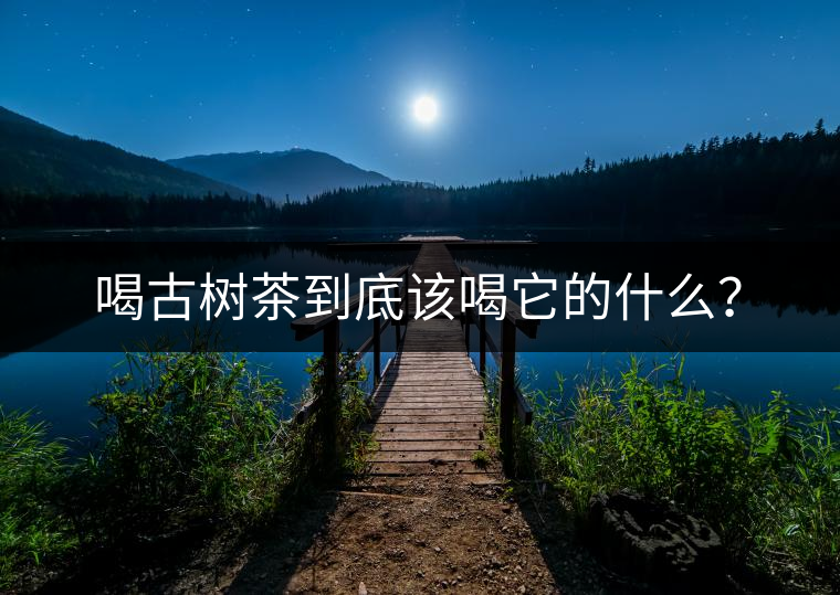 喝古樹茶到底該喝它的什么？