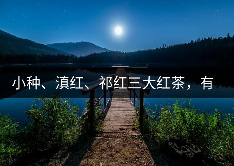 小種、滇紅、祁紅三大紅茶，有何區(qū)別