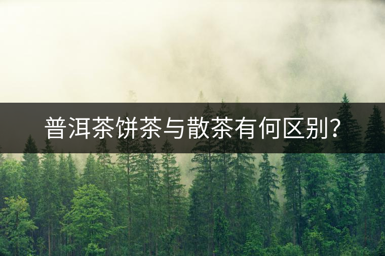普洱茶餅茶與散茶有何區(qū)別？