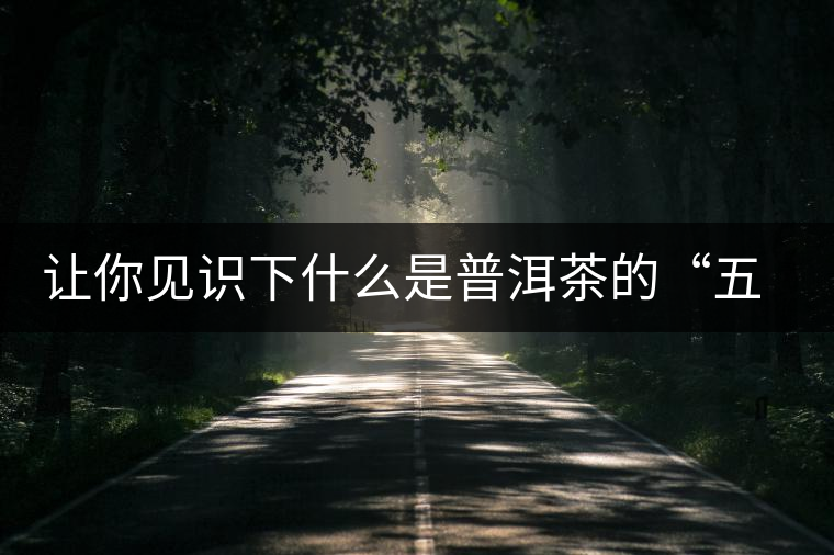 讓你見(jiàn)識(shí)下什么是普洱茶的“五六七八九 讓你見(jiàn)識(shí)下什么是普洱茶的“五六七八九