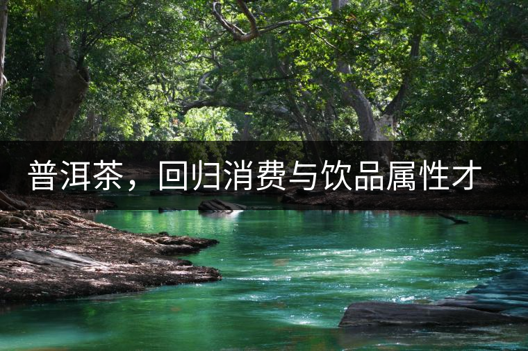 普洱茶，回歸消費(fèi)與飲品屬性才是正途