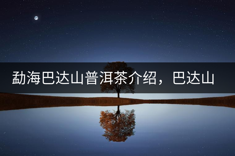 勐海巴達(dá)山普洱茶介紹，巴達(dá)山古樹茶口感特點(diǎn)