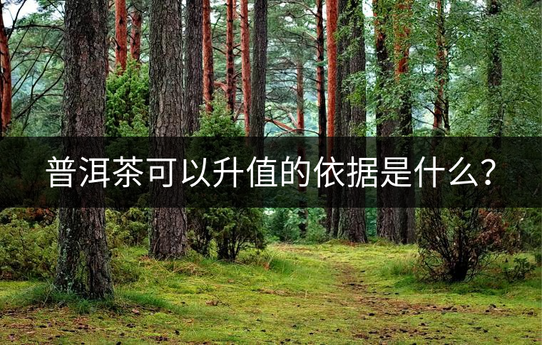 普洱茶可以升值的依據(jù)是什么？