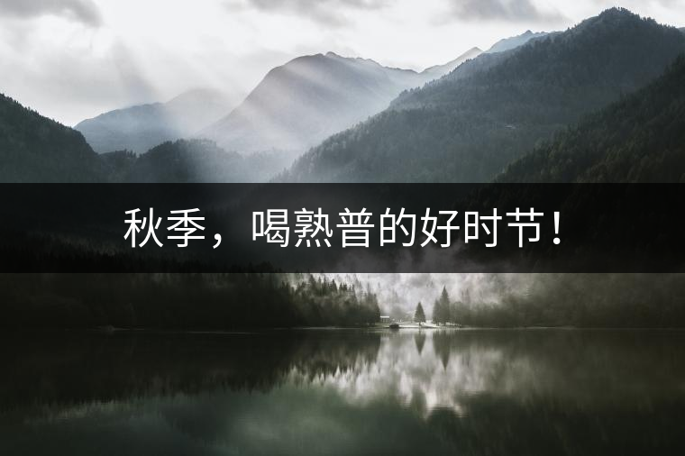 秋季，喝熟普的好時節(jié)！