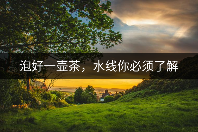 泡好一壺茶，水線你必須了解
