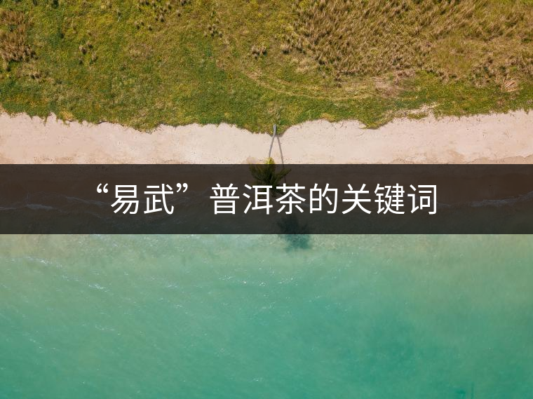“易武”普洱茶的關鍵詞