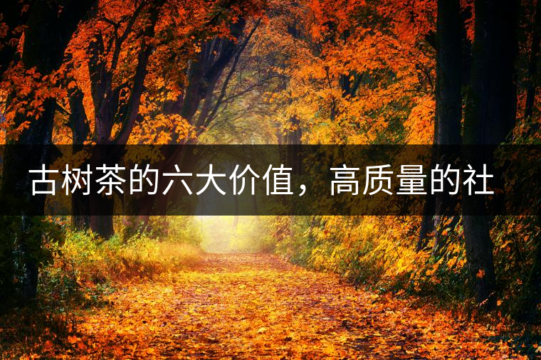 古樹茶的六大價(jià)值，高質(zhì)量的社交都離不開古樹茶