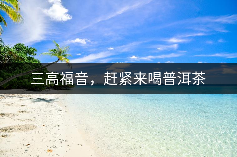 三高福音，趕緊來喝普洱茶