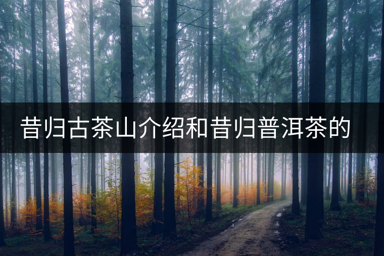 昔歸古茶山介紹和昔歸普洱茶的特點(diǎn) 昔歸古茶山介紹和昔歸普洱茶的特點(diǎn)