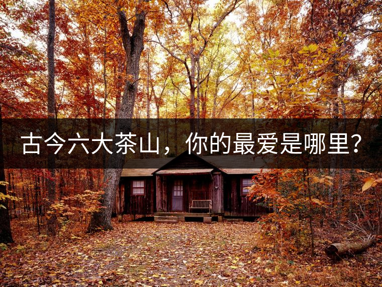 古今六大茶山，你的最愛是哪里？