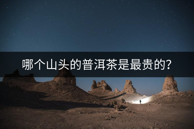哪個山頭的普洱茶是最貴的？