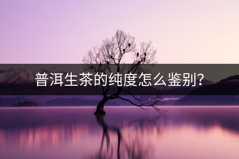 普洱生茶的純度怎么鑒別？