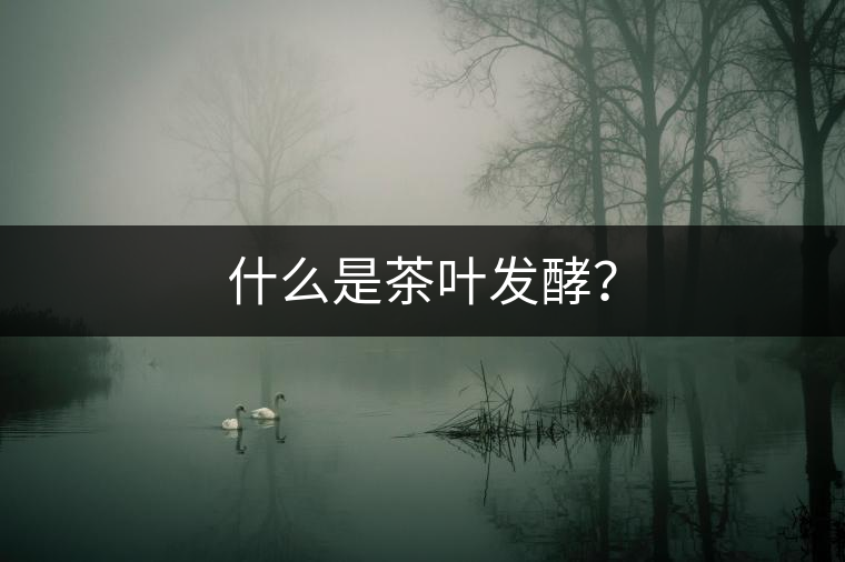 什么是茶葉發(fā)酵？