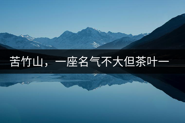 苦竹山，一座名氣不大但茶葉一流的古茶山