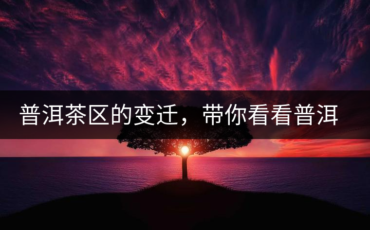 普洱茶區(qū)的變遷，帶你看看普洱茶地域分布