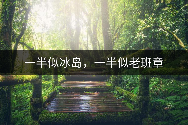 一半似冰島，一半似老班章