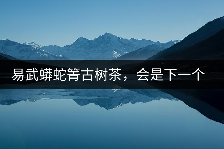 易武蟒蛇箐古樹茶，會是下一個銅箐河嗎？