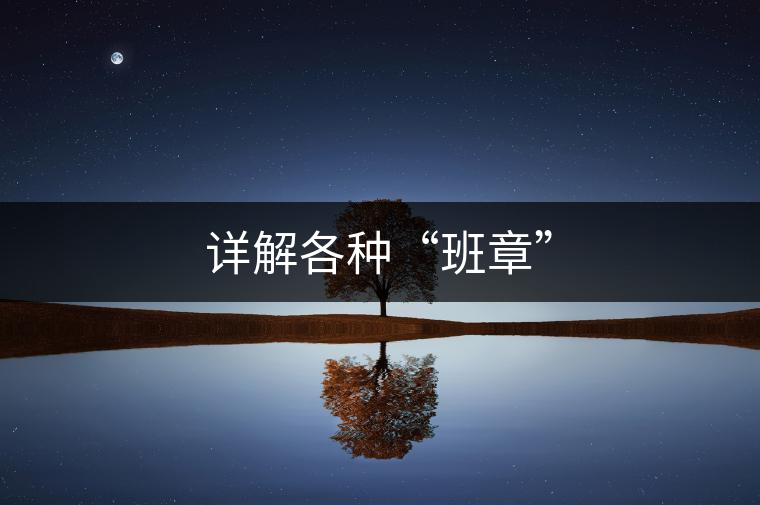 詳解各種“班章”