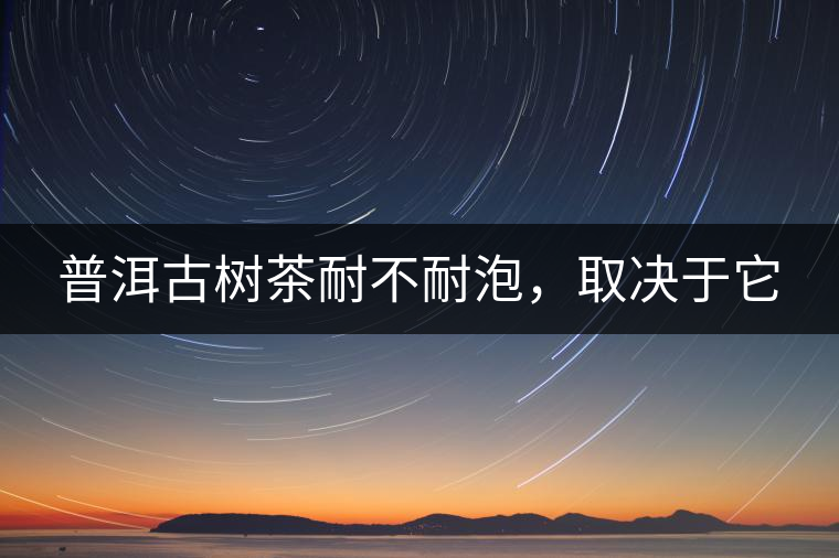 普洱古樹茶耐不耐泡，取決于它