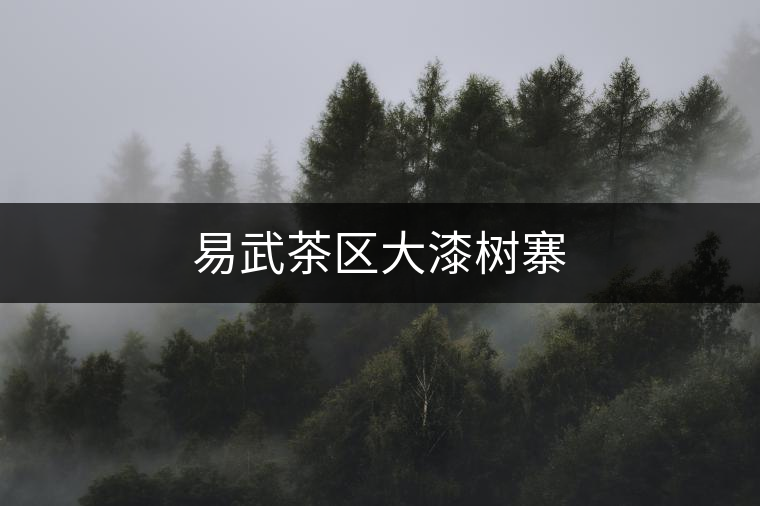 易武茶區(qū)大漆樹寨