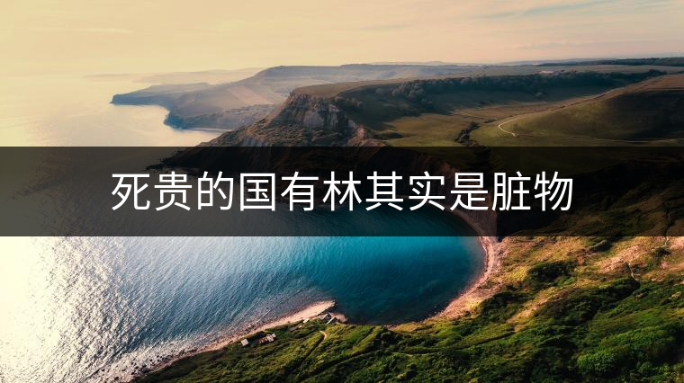 死貴的國有林其實是臟物