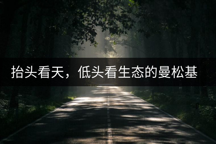 抬頭看天，低頭看生態(tài)的曼松基地