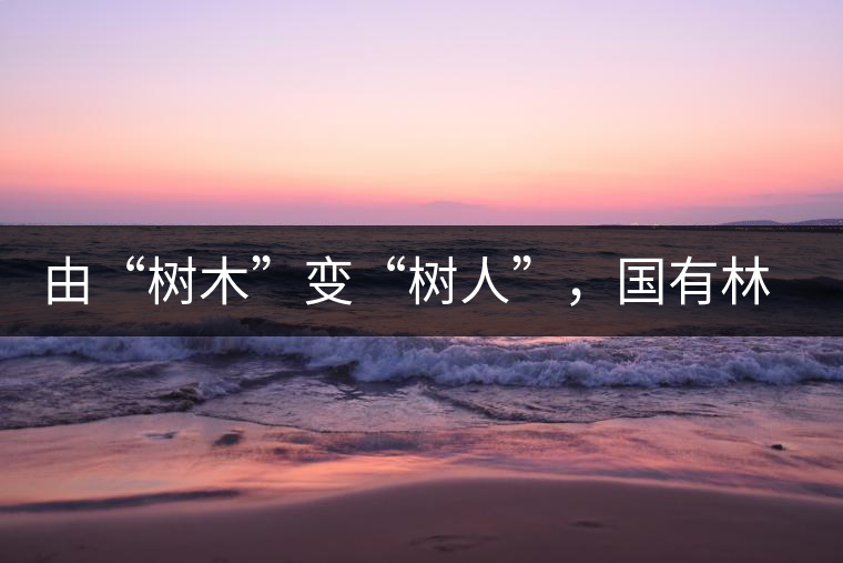 由“樹(shù)木”變“樹(shù)人”，國(guó)有林普洱茶為什么越來(lái)越受歡迎？