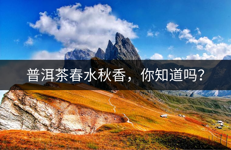 普洱茶春水秋香，你知道嗎？