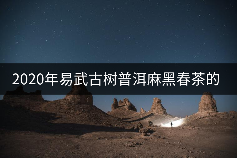 2020年易武古樹普洱麻黑春茶的特點 2020年易武古樹普洱麻黑春茶的特點