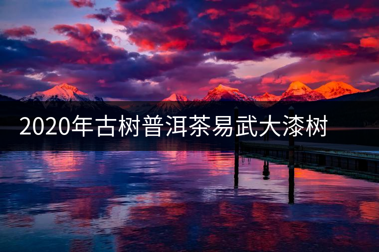 2020年古樹普洱茶易武大漆樹古樹春茶價格預(yù)測 2020年古樹普洱茶易武大漆樹古樹春茶價格預(yù)測