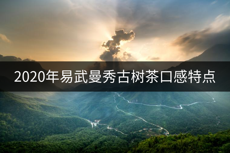 2020年易武曼秀古樹(shù)茶口感特點(diǎn)