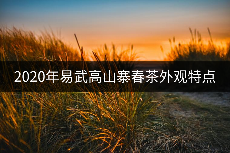 2020年易武高山寨春茶外觀(guān)特點(diǎn)