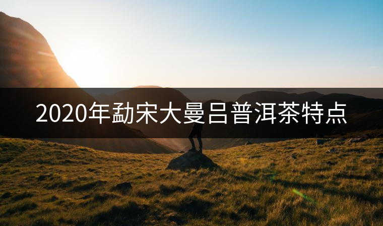 2020年勐宋大曼呂普洱茶特點