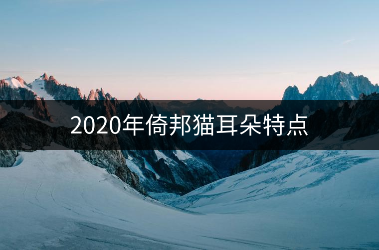 2020年倚邦貓耳朵特點(diǎn)