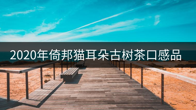 2020年倚邦貓耳朵古樹茶口感品質(zhì)