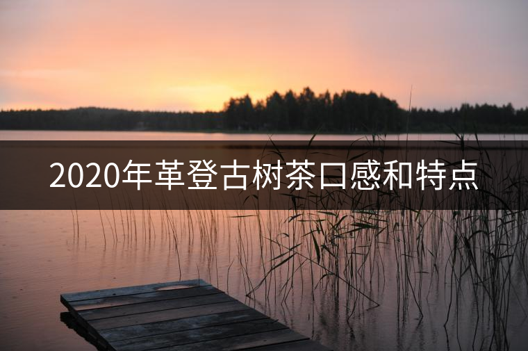 2020年革登古樹(shù)茶口感和特點(diǎn)