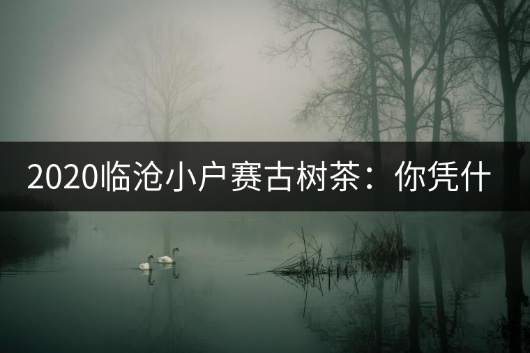 2020臨滄小戶賽古樹茶：你憑什么當(dāng)冰島賣？