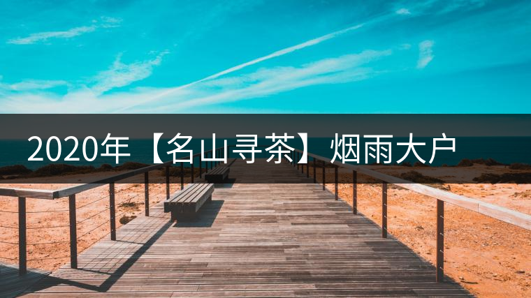 2020年【名山尋茶】煙雨大戶賽古樹茶-醉美大戶賽普洱茶