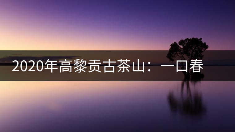 2020年高黎貢古茶山：一口春茶香，一口騰沖味