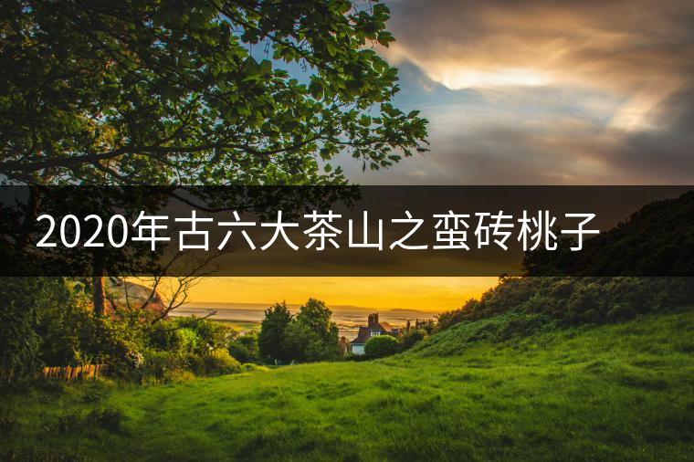 2020年古六大茶山之蠻磚桃子寨古樹茶，瓦龍古樹茶口感與特點(diǎn)
