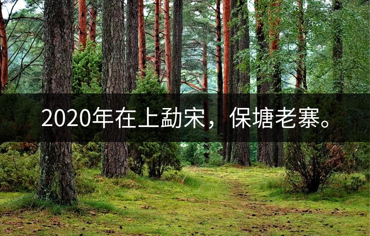 2020年在上勐宋，保塘老寨。