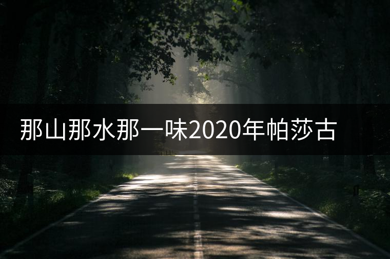 那山那水那一味2020年帕莎古樹(shù)春茶特點(diǎn)