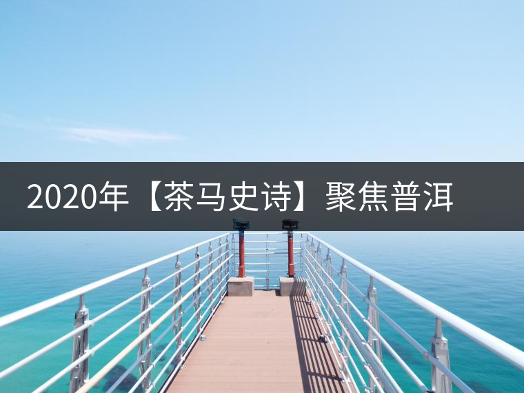 2020年【茶馬史詩】聚焦普洱古茶山之——邦崴古茶山