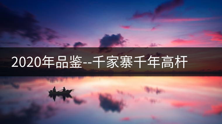 2020年品鑒--千家寨千年高桿野生茶口感特點