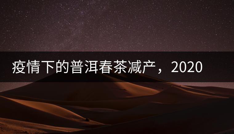 疫情下的普洱春茶減產(chǎn)，2020年價(jià)格“兩極分化”或成常態(tài)？