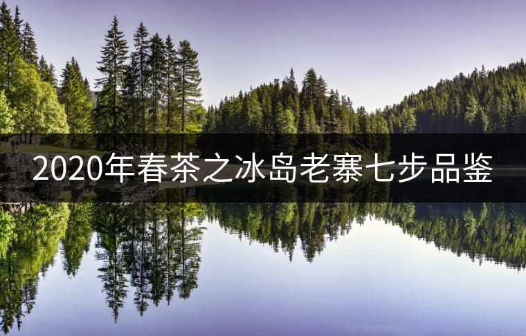2020年春茶之冰島老寨七步品鑒