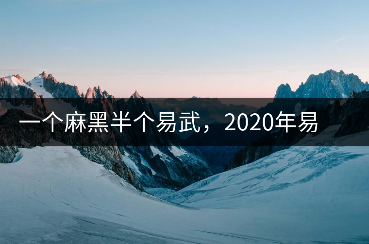 一個(gè)麻黑半個(gè)易武，2020年易武麻黑古樹(shù)春茶介紹