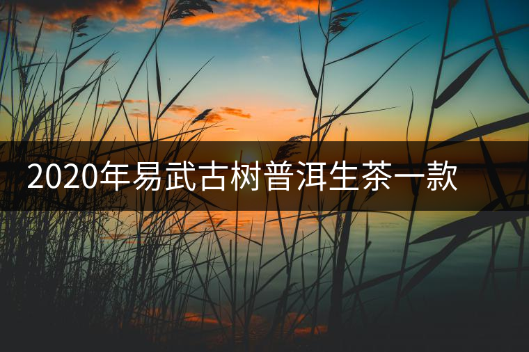 2020年易武古樹普洱生茶一款可以用來珍藏的好茶 2020年易武古樹普洱生茶一款可以用來珍藏的好茶